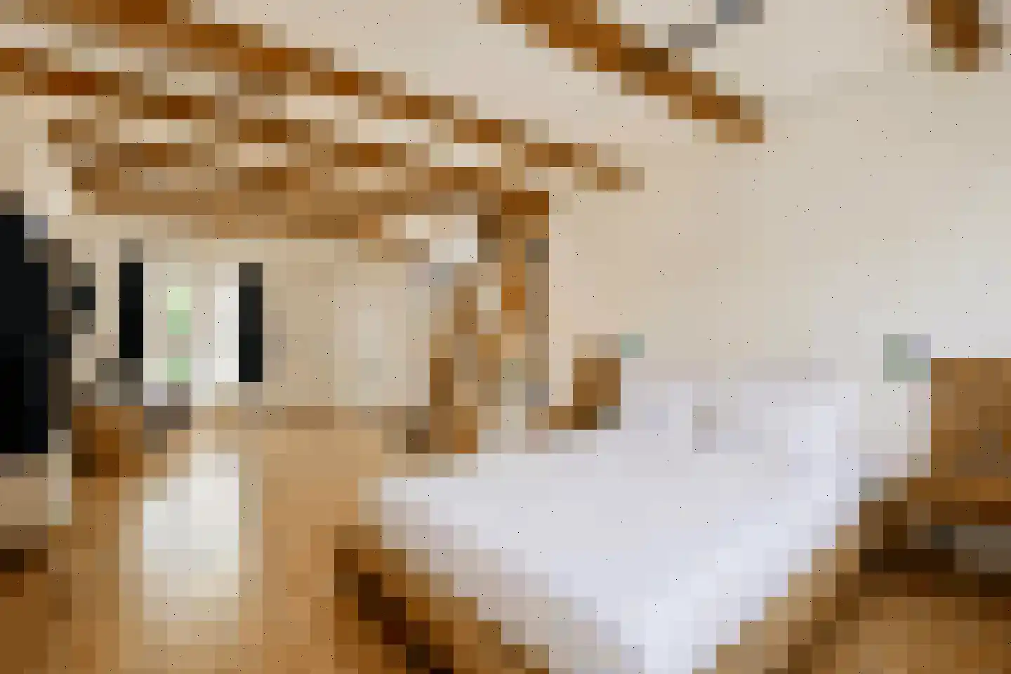 Nieuwe Kerkstraat 20 Amsterdam thumbnail 23