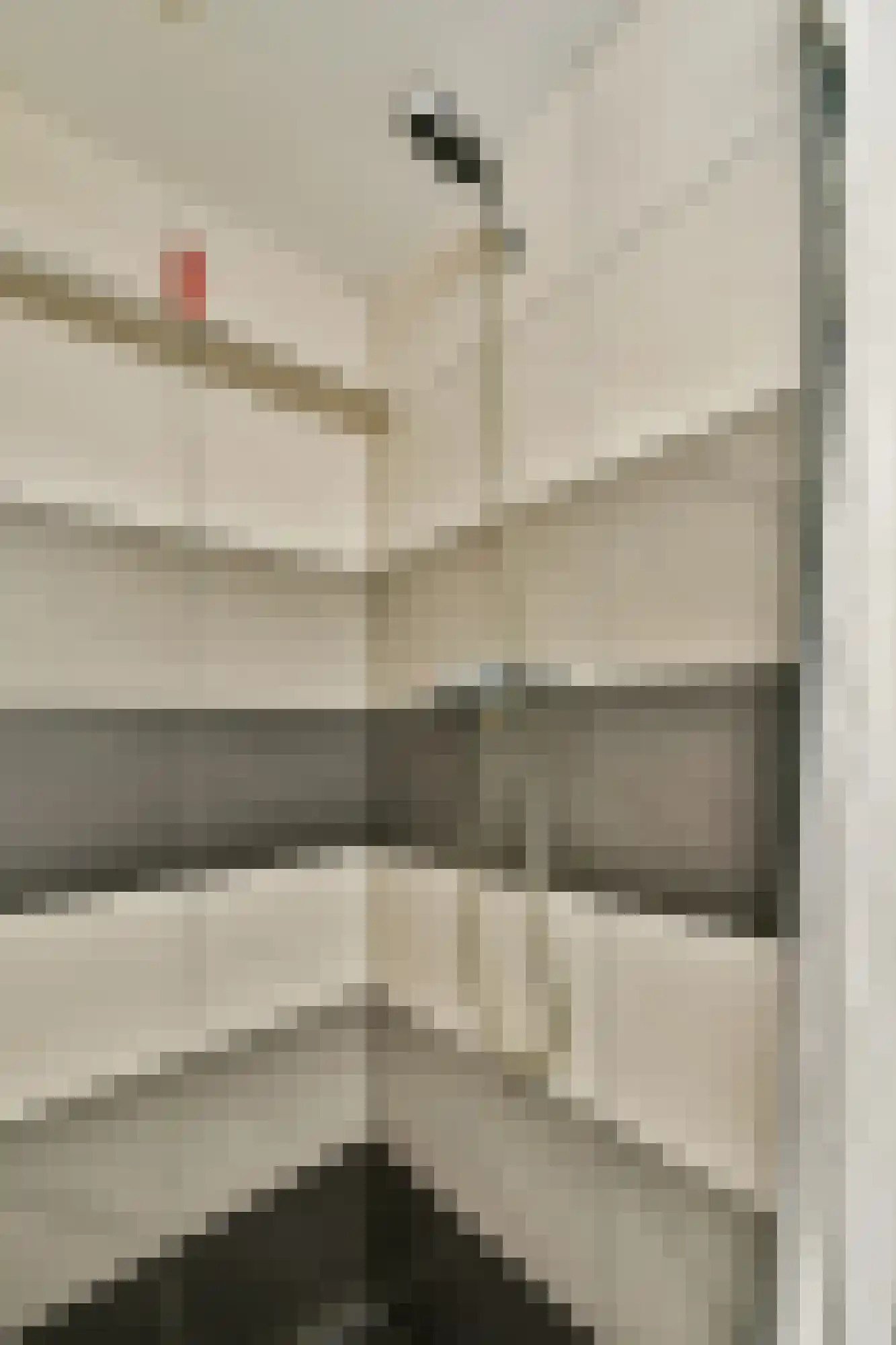 Nieuwe Kerkstraat 20 Amsterdam thumbnail 34