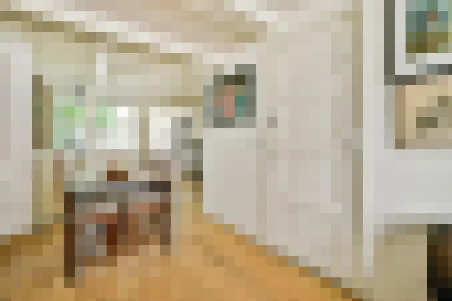 Nieuwe Kerkstraat 20 Amsterdam thumbnail 4