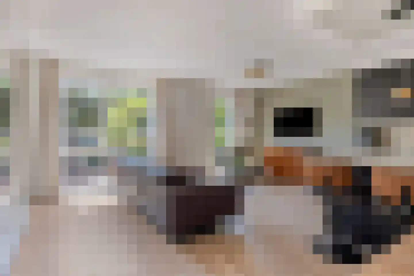Nieuwe Kerkstraat 20 b Sluiskil thumbnail 12