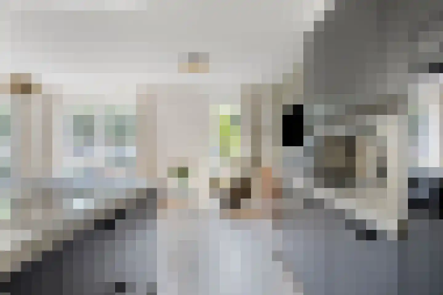 Nieuwe Kerkstraat 20 b Sluiskil thumbnail 21