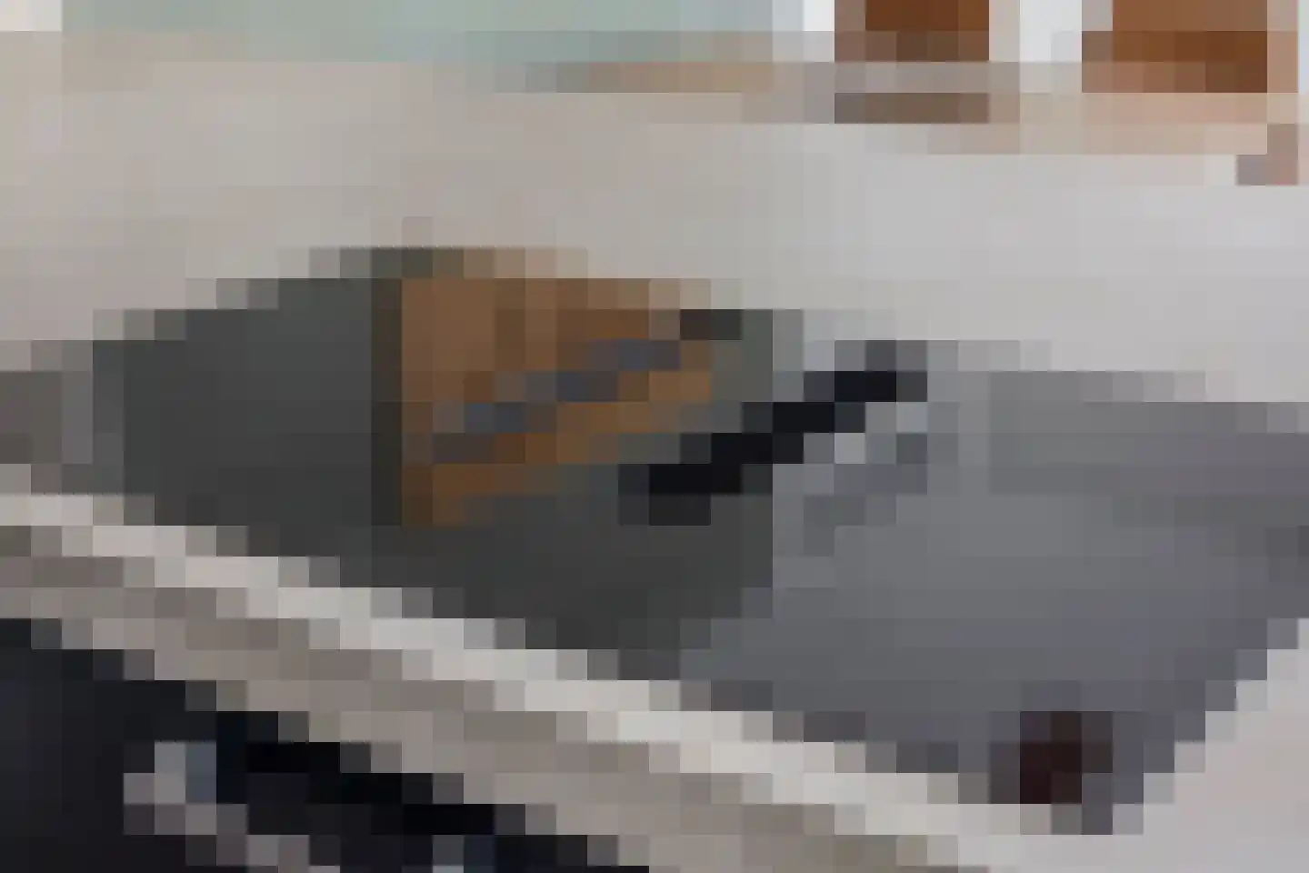 Nieuwe Kerkstraat 20 b Sluiskil thumbnail 26
