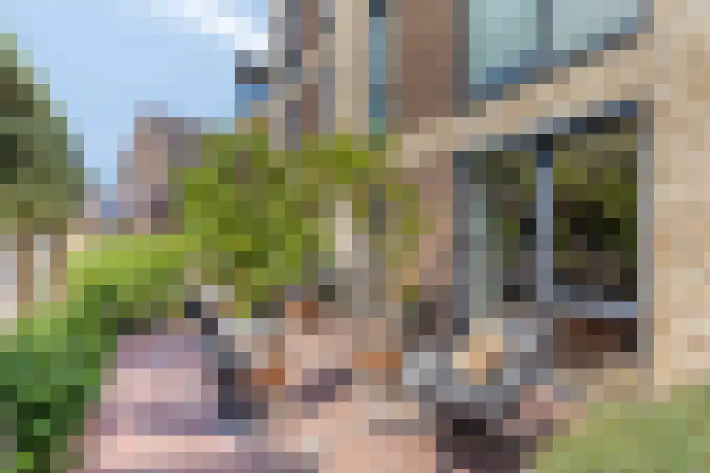 Nieuwe Kerkstraat 20 b Sluiskil thumbnail 40
