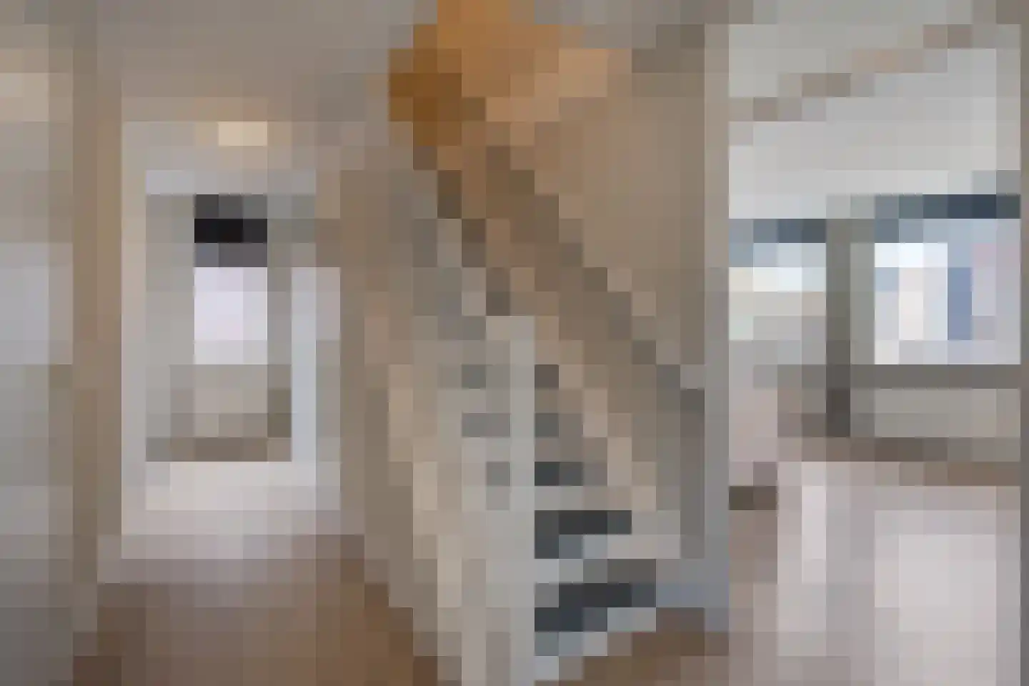 Nieuwe Kerkstraat 24 Borne thumbnail 19
