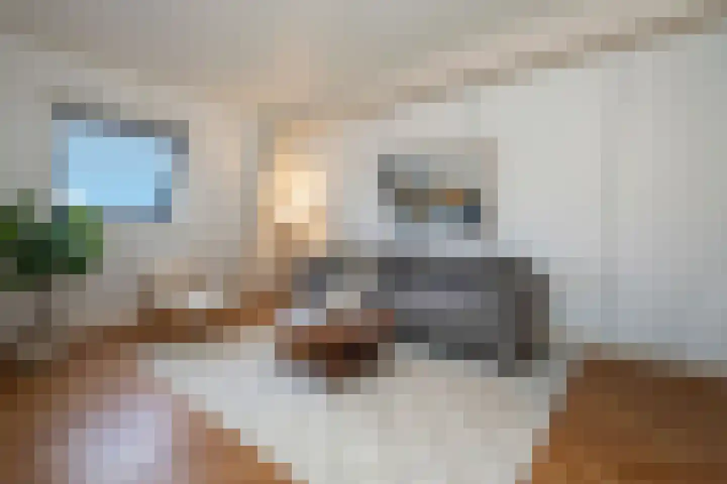 Nieuwe Kerkstraat 24 Borne thumbnail 21