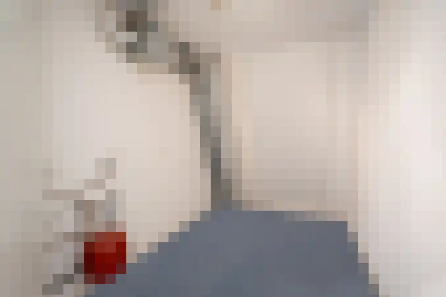 Nieuwe Kerkstraat 24 Borne thumbnail 28
