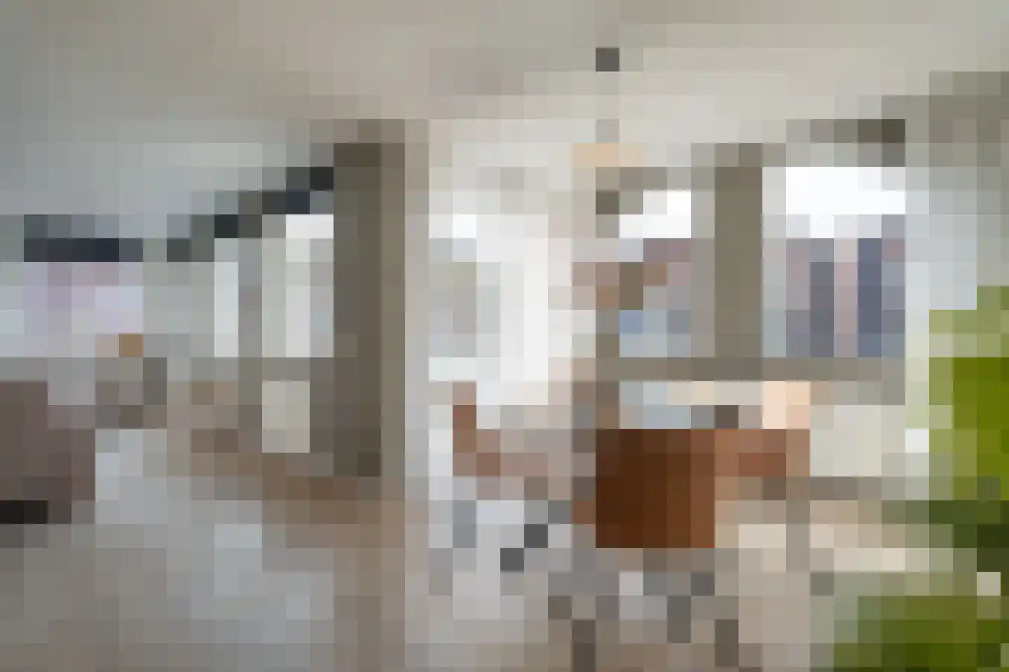 Nieuwe Kerkstraat 24 Borne thumbnail 4
