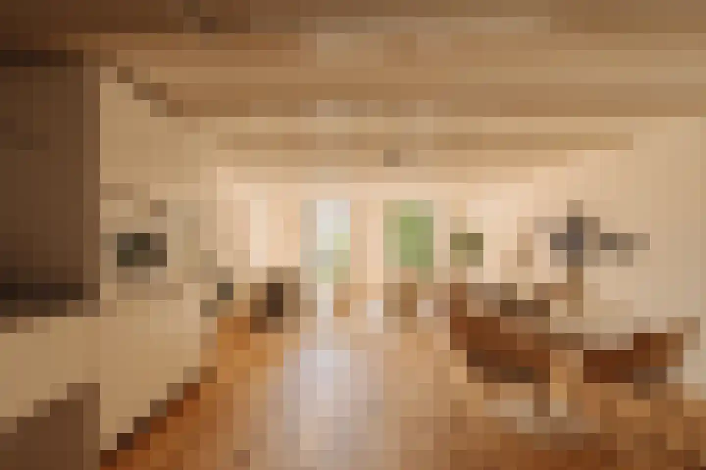 Nieuwe Kerkstraat 28 C Amsterdam thumbnail 4