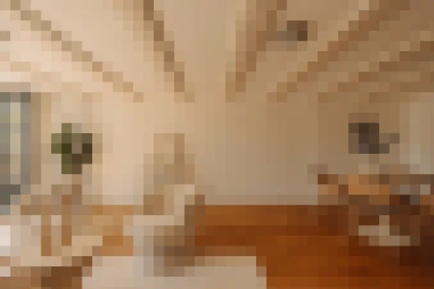 Nieuwe Kerkstraat 28 C Amsterdam thumbnail 9
