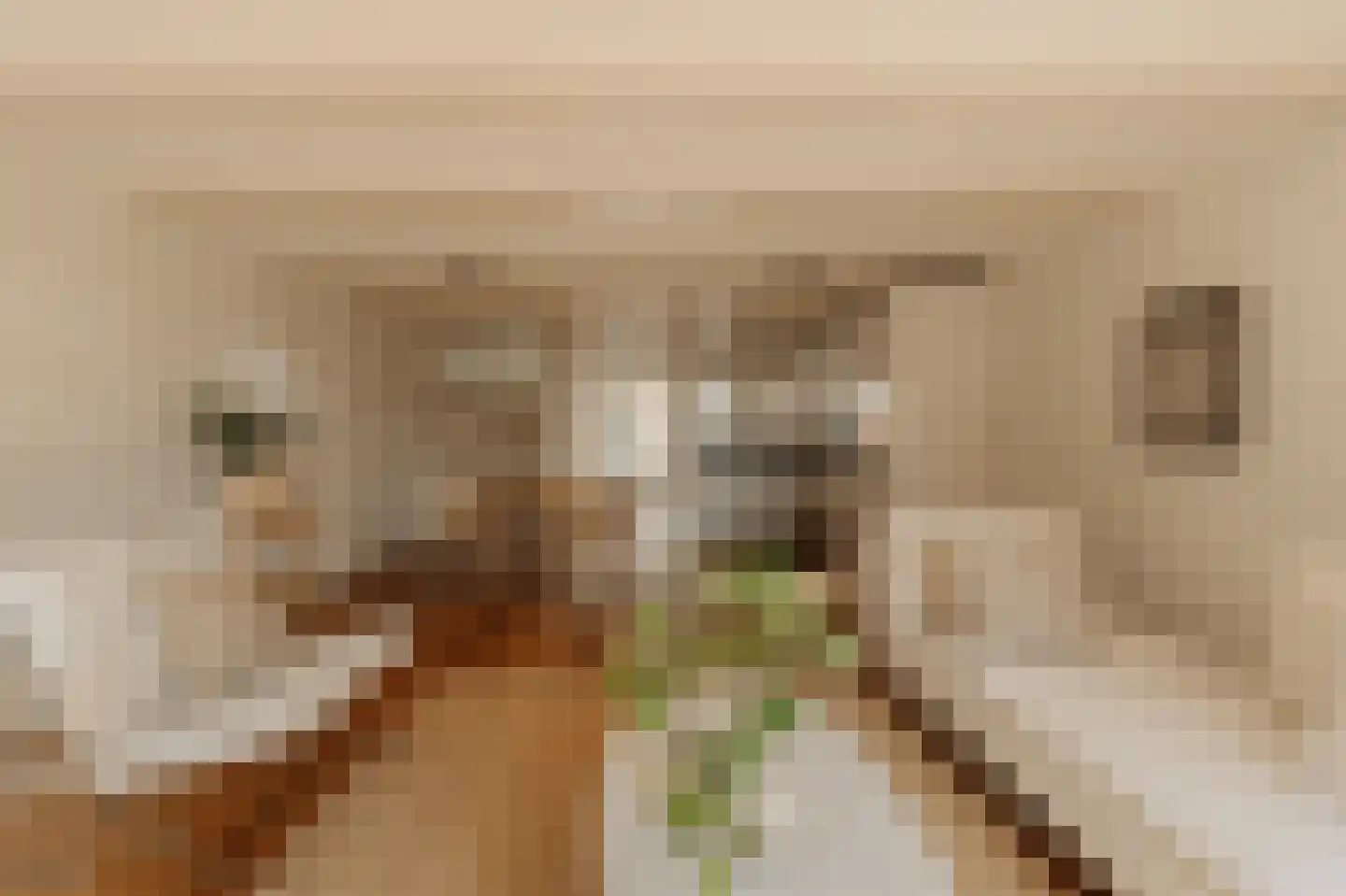Nieuwe Kerkstraat 28 D Amsterdam thumbnail 10
