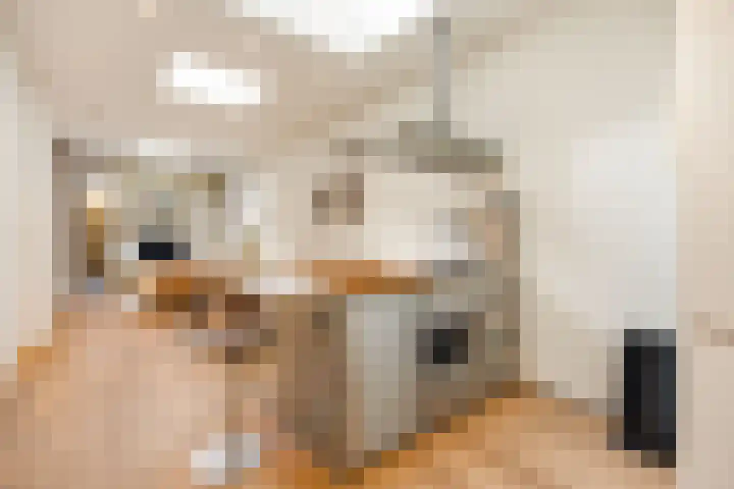 Nieuwe Kerkstraat 30 H Amsterdam thumbnail 10
