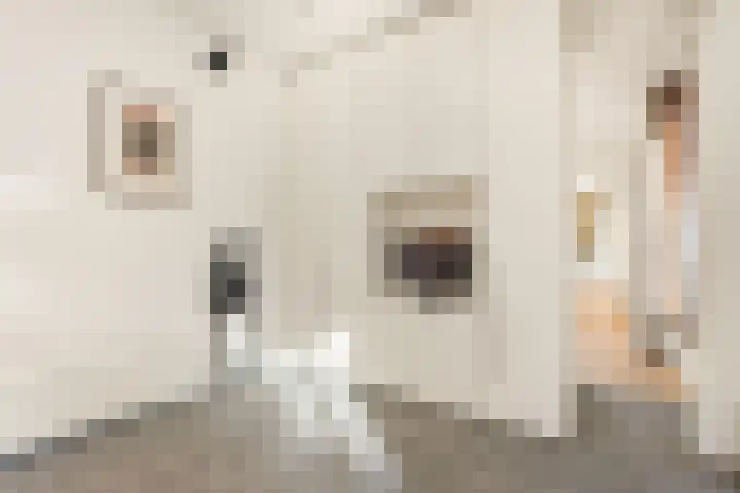 Nieuwe Kerkstraat 30 H Amsterdam thumbnail 18