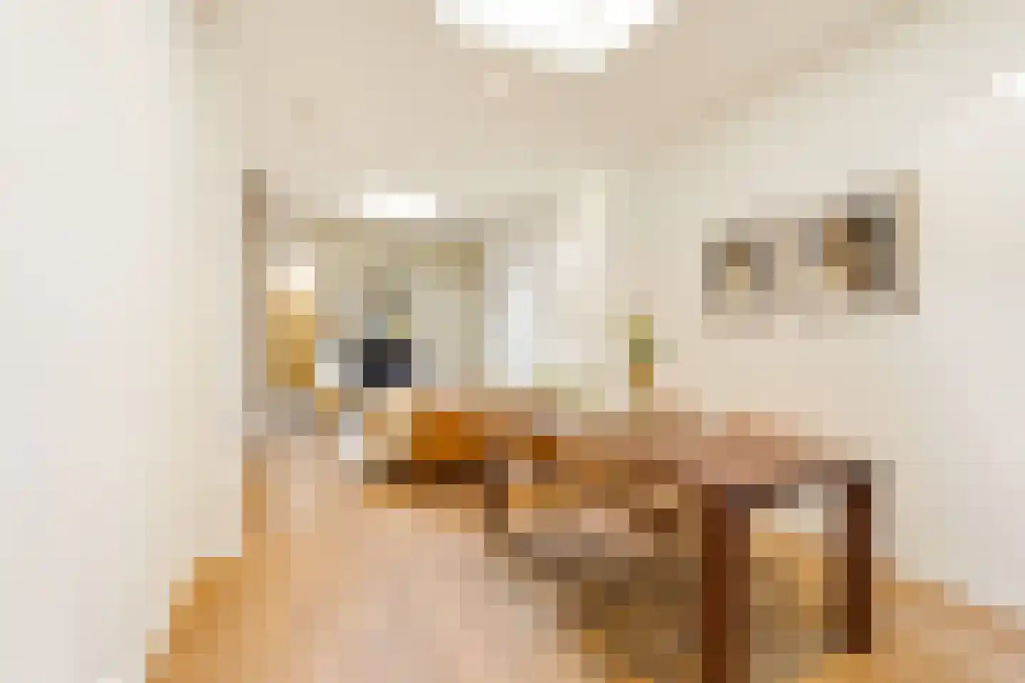 Nieuwe Kerkstraat 30 H Amsterdam thumbnail 5