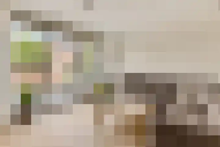 Nieuwe Kerkstraat 30 Nijkerkerveen thumbnail 4