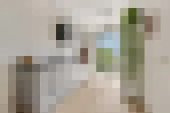 Nieuwe Kerkstraat 30 Nijkerkerveen thumbnail 6