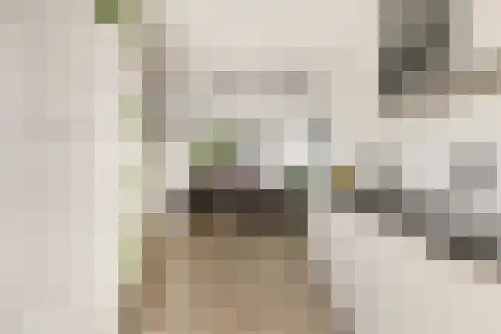 Nieuwe Kerkstraat 30 Nijkerkerveen thumbnail 8