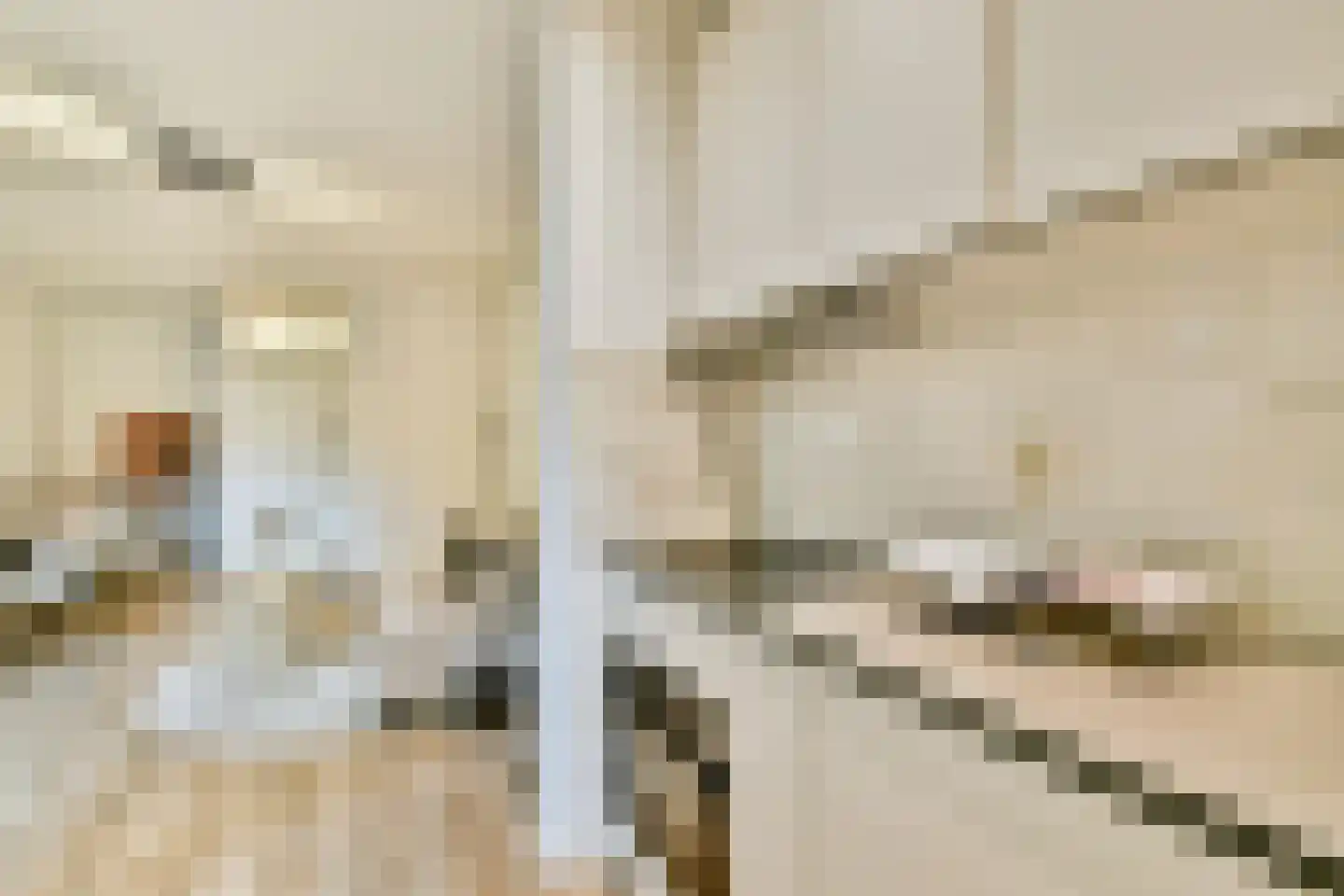 Nieuwe Kerkstraat 32 D Amsterdam thumbnail 5