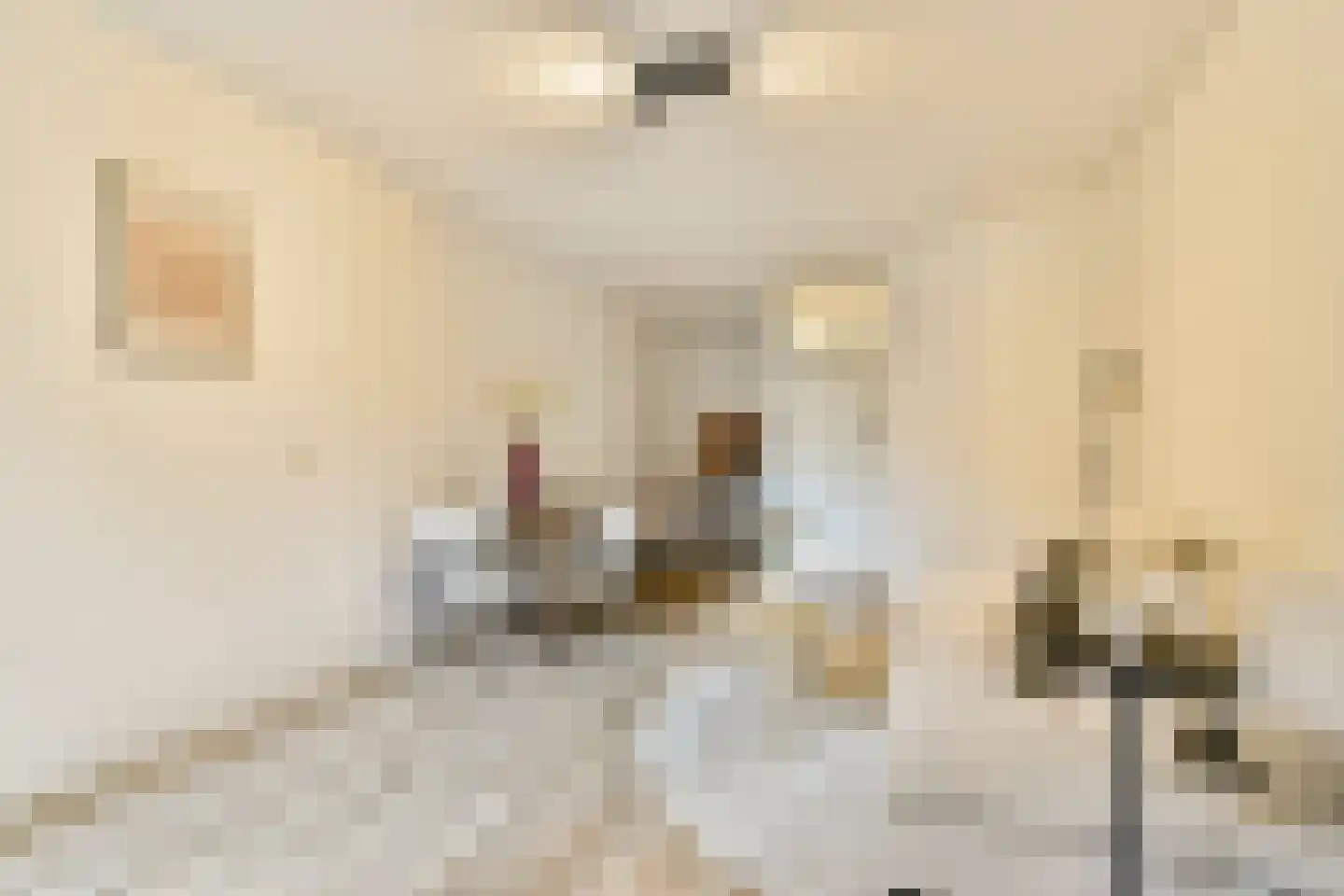 Nieuwe Kerkstraat 32 D Amsterdam thumbnail 7