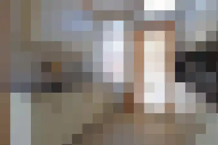 Nieuwe Kerkstraat 32 Sluiskil thumbnail 11