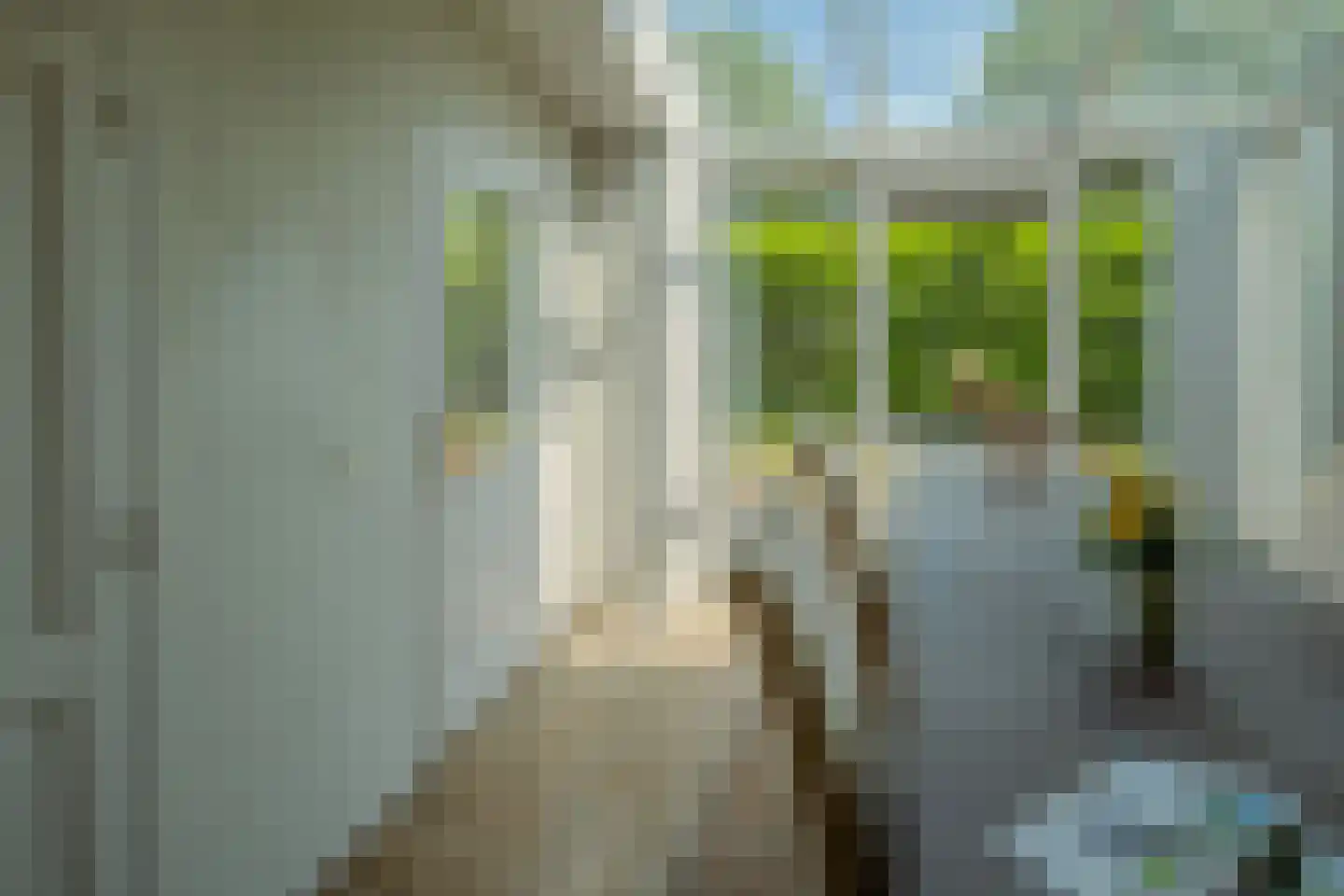 Nieuwe Kerkstraat 32 Veldhoven thumbnail 14
