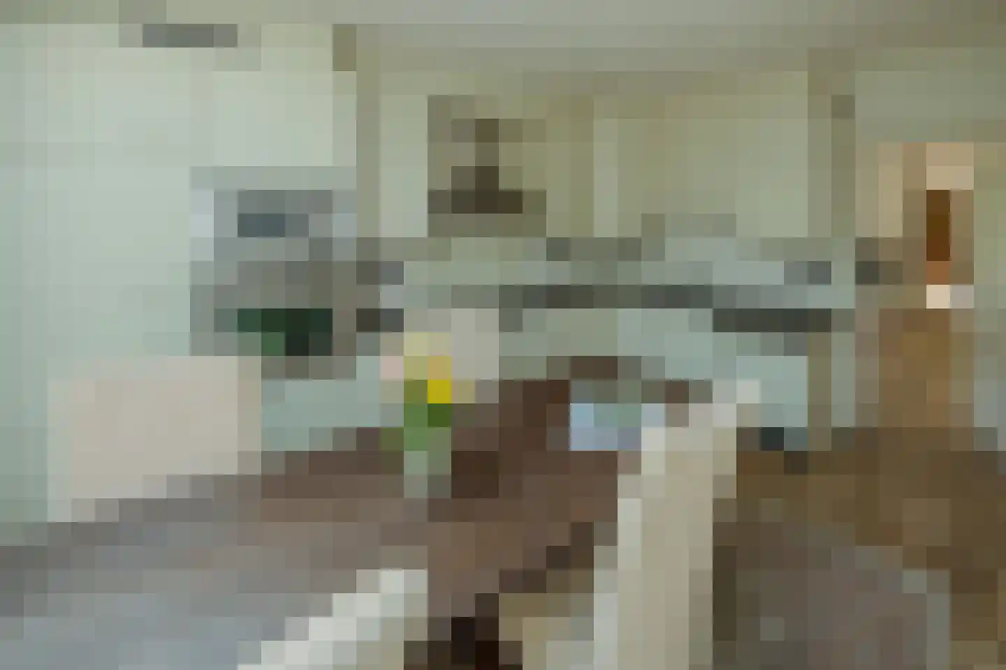 Nieuwe Kerkstraat 32 Veldhoven thumbnail 16