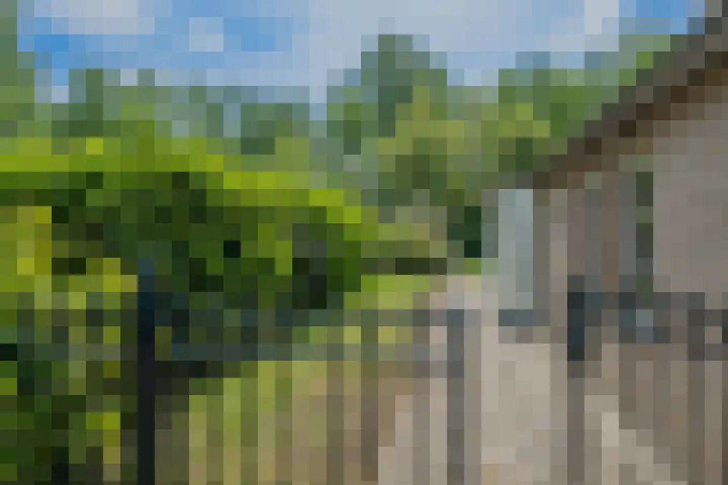 Nieuwe Kerkstraat 32 Veldhoven thumbnail 18