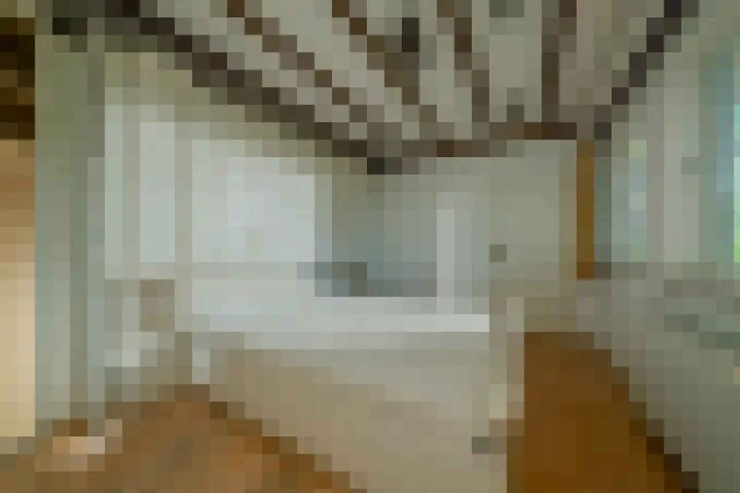Nieuwe Kerkstraat 32 Veldhoven thumbnail 32