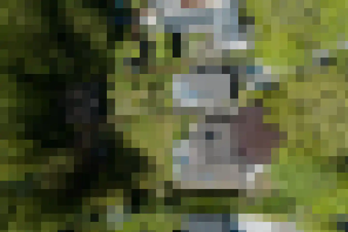 Nieuwe Kerkstraat 32 Veldhoven thumbnail 43
