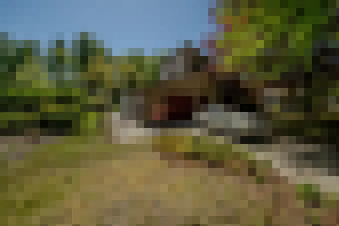Nieuwe Kerkstraat 32 Veldhoven thumbnail 5