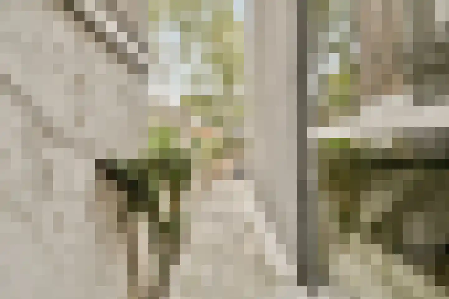 Nieuwe Kerkstraat 34 A Amsterdam thumbnail 8