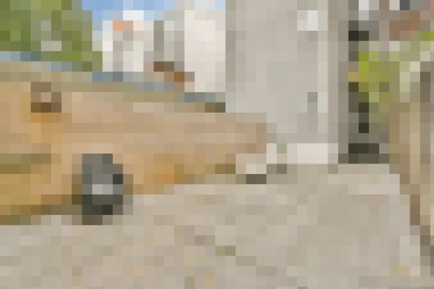 Nieuwe Kerkstraat 34 A Amsterdam thumbnail 9