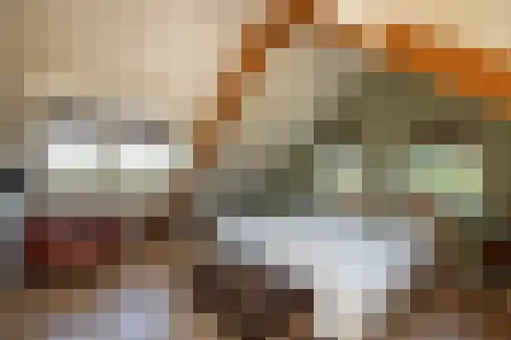 Nieuwe Kerkstraat 35 Nijkerkerveen thumbnail 26