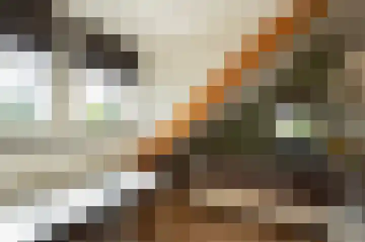 Nieuwe Kerkstraat 35 Nijkerkerveen thumbnail 27