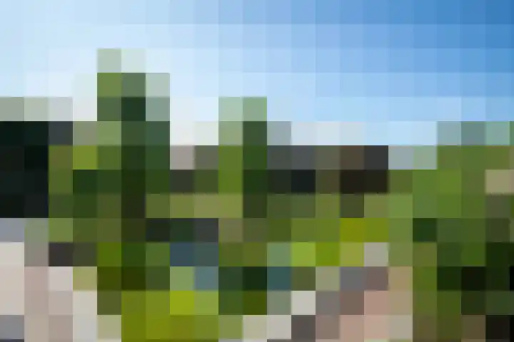Nieuwe Kerkstraat 35 Nijkerkerveen thumbnail 36