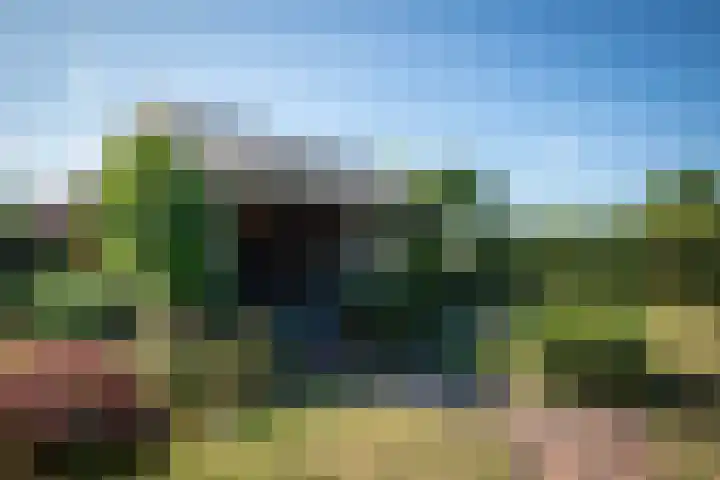 Nieuwe Kerkstraat 35 Nijkerkerveen thumbnail 38