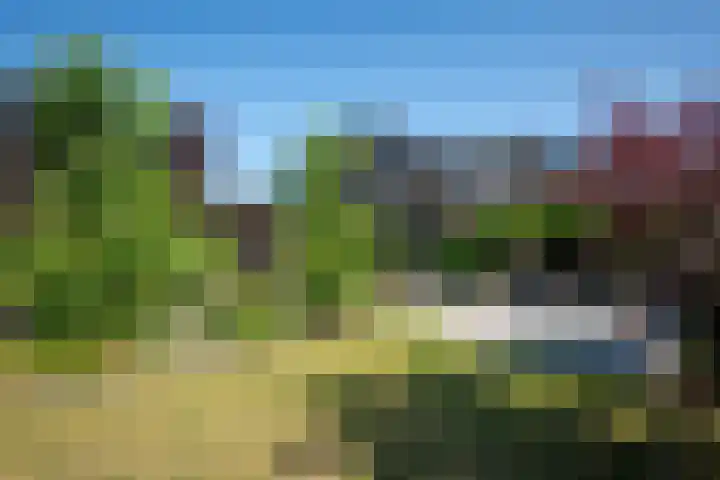 Nieuwe Kerkstraat 35 Nijkerkerveen thumbnail 40