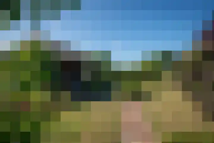 Nieuwe Kerkstraat 35 Nijkerkerveen thumbnail 42