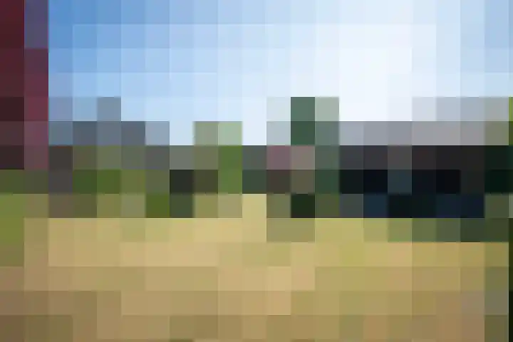 Nieuwe Kerkstraat 35 Nijkerkerveen thumbnail 43