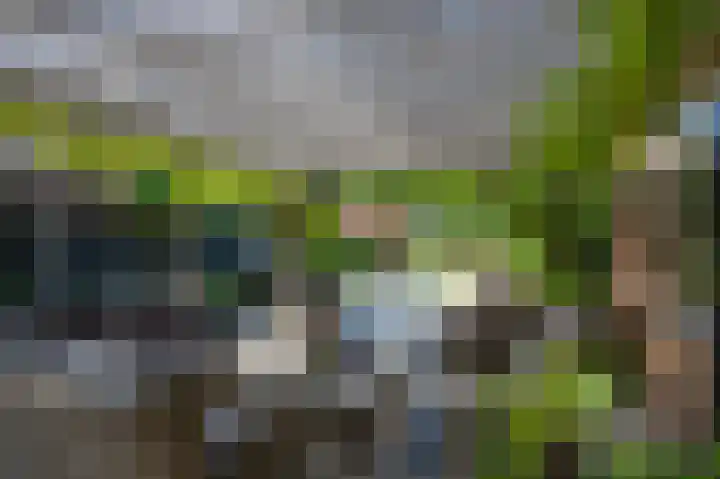 Nieuwe Kerkstraat 35 Nijkerkerveen thumbnail 45