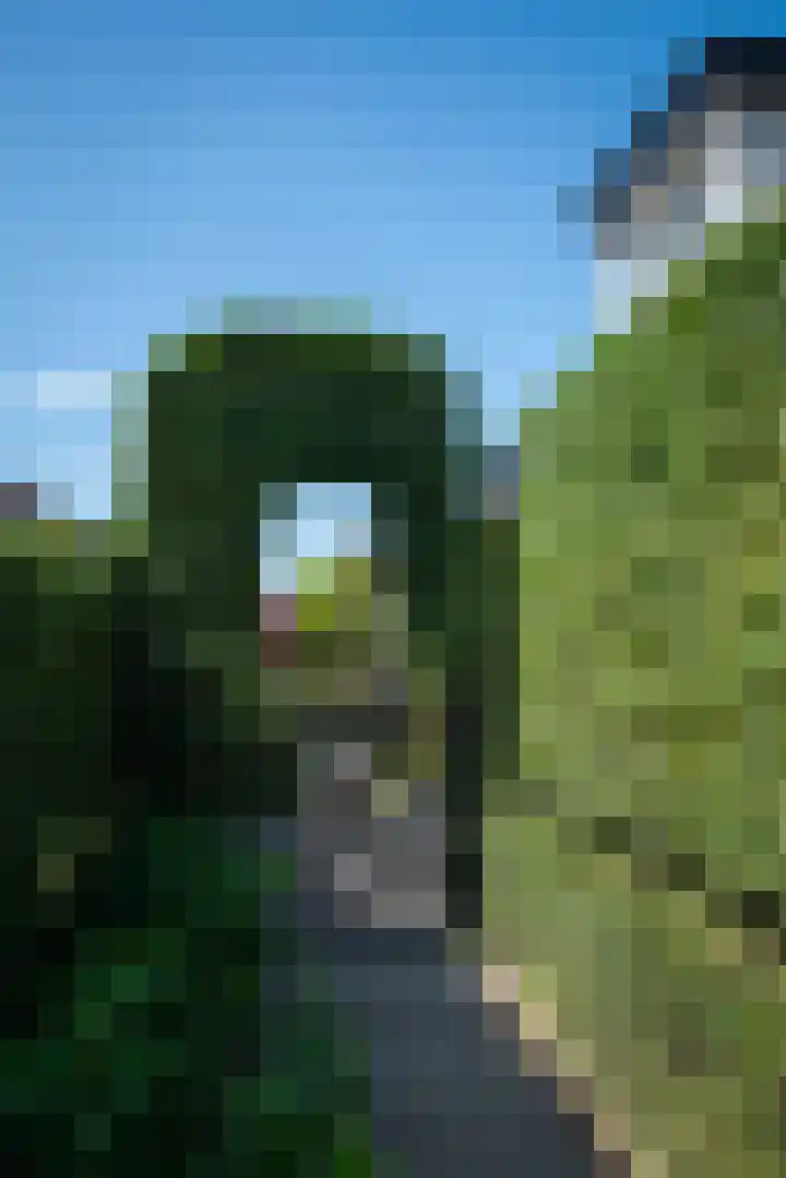 Nieuwe Kerkstraat 35 Nijkerkerveen thumbnail 46