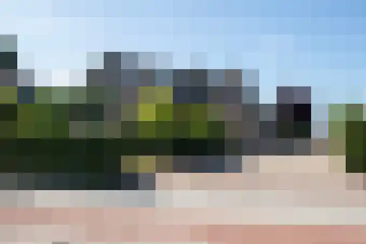 Nieuwe Kerkstraat 35 Nijkerkerveen thumbnail 48