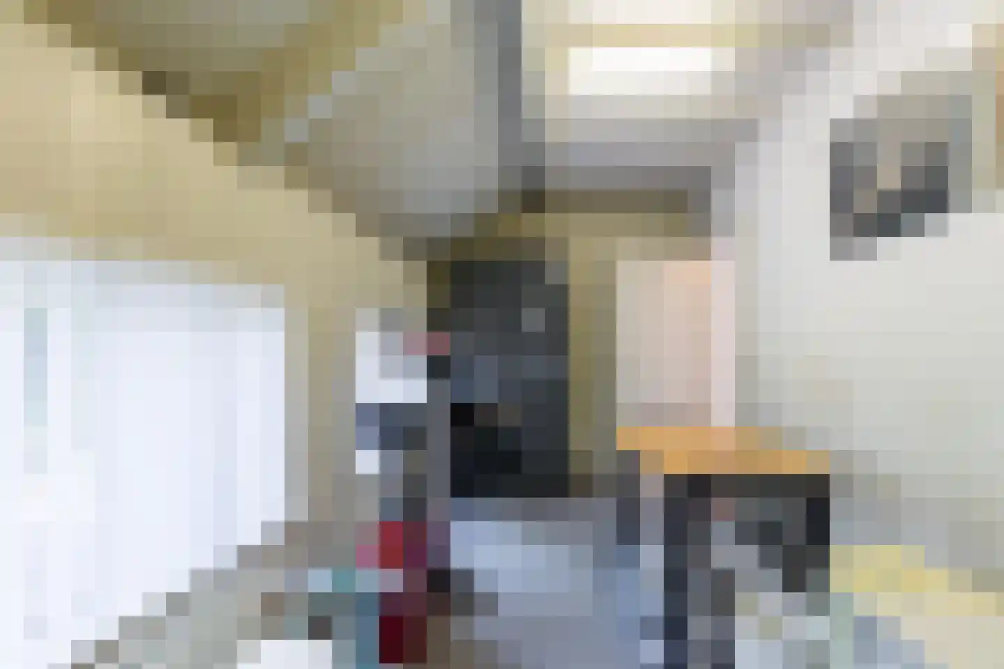 Nieuwe Kerkstraat 36 Nijkerkerveen thumbnail 13