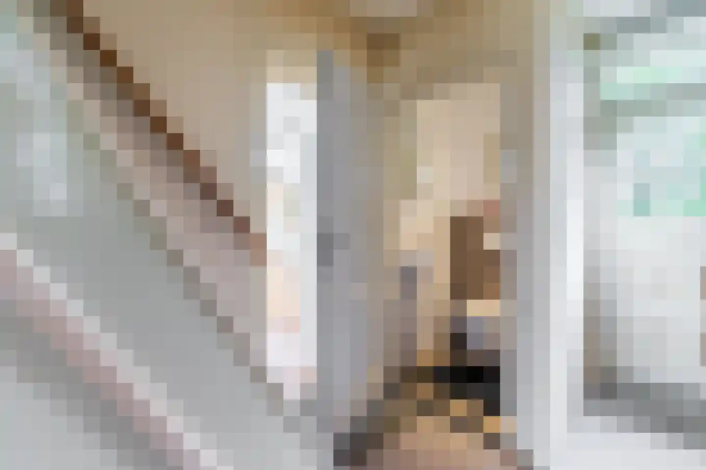 Nieuwe Kerkstraat 36 Nijkerkerveen thumbnail 14