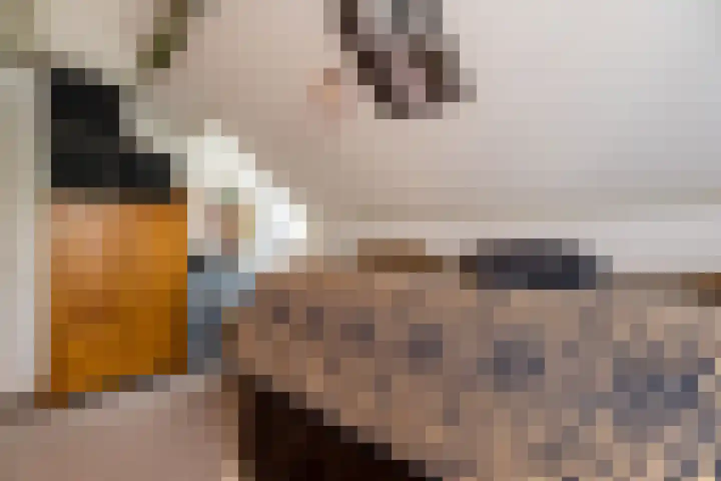 Nieuwe Kerkstraat 36 Nijkerkerveen thumbnail 19