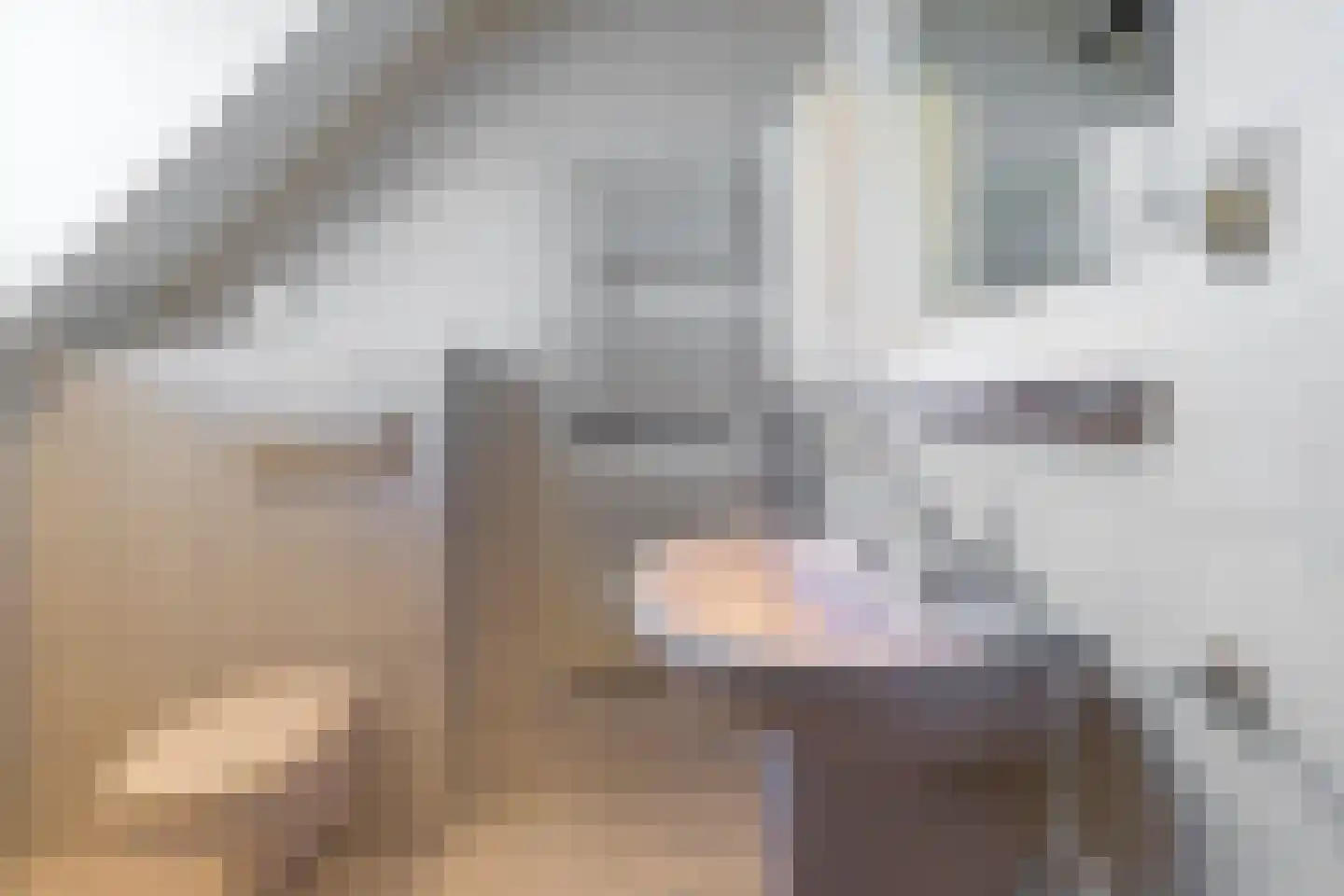 Nieuwe Kerkstraat 36 Nijkerkerveen thumbnail 22
