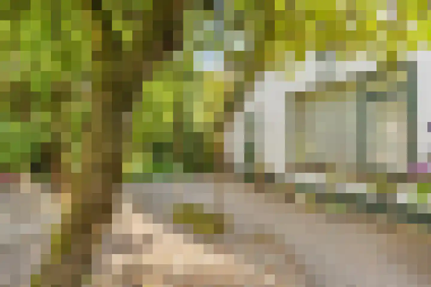 Nieuwe Kerkstraat 36 Nijkerkerveen thumbnail 26