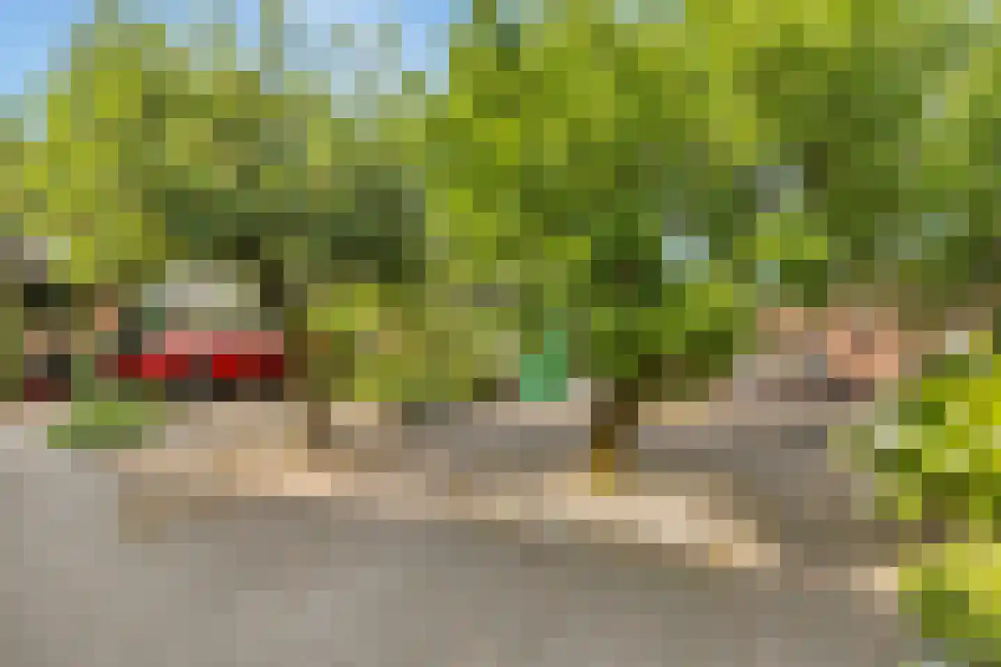 Nieuwe Kerkstraat 36 Nijkerkerveen thumbnail 28