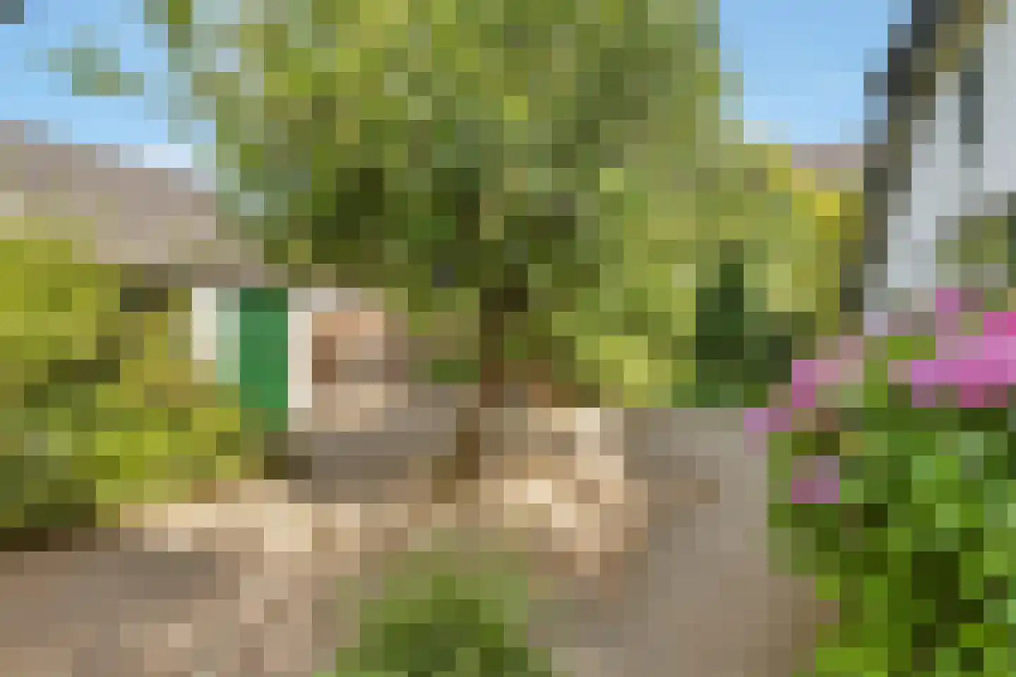 Nieuwe Kerkstraat 36 Nijkerkerveen thumbnail 4