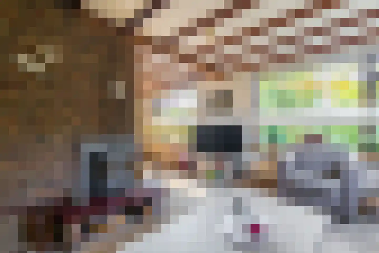 Nieuwe Kerkstraat 36 Nijkerkerveen thumbnail 5