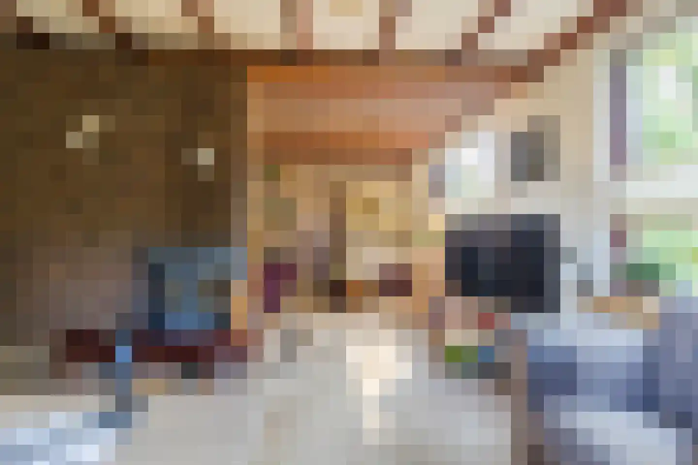Nieuwe Kerkstraat 36 Nijkerkerveen thumbnail 6